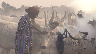 Cattle culture in South Sudan [upl. by Gader286]