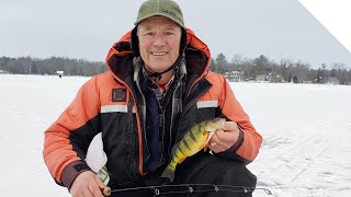 Ice fishing for perch on Cooks Bay Lake Simcoe [upl. by Netsyrc]