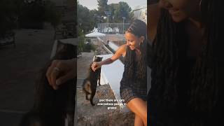 and they’re so friendly greece spetses studyabroad shorts summer [upl. by Nilra]