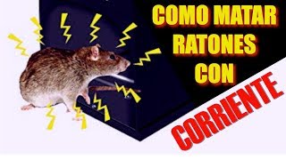 Como Electrocutar Ratas [upl. by Vins]