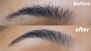 HOW TO GROOM  SHAPE YOUR EYEBROWS super easy  at home [upl. by Nicolina]