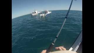 Snapper fishing in South Australia [upl. by Zoes]