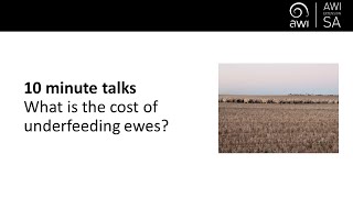 10 minute talks  What is the cost of underfeeding ewes [upl. by Bernj]