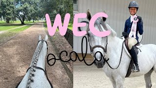 wec ocala 2024 vlog🌴⭐️🐴 [upl. by Wehtta164]