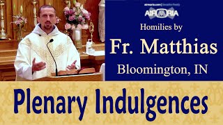 How to Gain Plenary Indulgence on Divine Mercy Sunday [upl. by Adnolor]