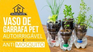 ⭐ VASO AUTOIRRIGÁVEL ANTIDENGUE COM GARRAFA PET  COMO FAZER  DIY PASSO A PASSO [upl. by Jeromy]