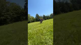 250 rx power wheelie [upl. by Sharona451]