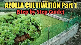 AZOLLA FARMING  AZOLLA CULTIVATION PART 1  AZOLLA PLANT PHILIPPINES ALAMIN  STEP BY STEP GUIDE [upl. by Wolcott]