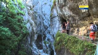 Alpbachtal Seenland Wandern [upl. by Tija]