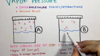 23 Vapor Pressure IMFs and Boiling Point [upl. by Gnus253]