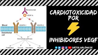 Cardiotoxicidad por inhibidores del VEGF  Bevacizumab [upl. by Garling]