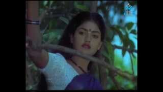 Pandi Nattu Thangam Movie Songs  Un Manasula Paattuthaan Irukkuthu Song [upl. by Bee986]