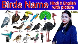 Birds Name  पक्षियों के नाम  pakshiyon Ke Naam Hindi aur angreji mein  20 Birds Name [upl. by Ati884]