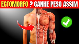 6 Dicas para Ectomorfo Construir Musculos Rápido Dieta treino e estratégias  CORPO HIPERTROFIADO [upl. by Imoyik544]