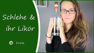 Schlehe  Heilwirkung  Rezept für Schlehenlikör  inkl Outtakes [upl. by Olwen]