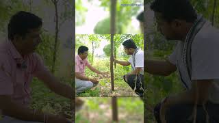 अपने चंदन के खेत को सुरक्षित रखो नहीं तो पुष्पा आ जाएगा🧐🪓Watch Full Video👆indianfarmer shorts [upl. by Lanette]