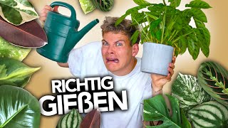 PFLANZEN GIEßEN  So gehts richtig  Joeys Jungle Plants [upl. by Llenreb]