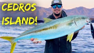 Fishing Cedros Island quotThe Videoquot [upl. by Ise]