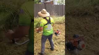 OVERGROWN Drainage Field Turned JUNGLE Gets MOWED satisfying lawn overgrown [upl. by Grissel275]