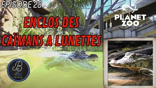 Zoo de lAisne Maison des Reptiles Part4  CAÏMAN  Planet Zoo Saison 1  Ep28 Lets play fr [upl. by Anais343]