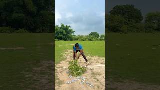 गरीब लडके ने बनाई नई Pitch 🥹❤️ cricket trending viral reels shorts foryou ytshorts top [upl. by Robinia]