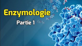 Structure et Caractéristiques des enzymes  Cours Enzymologie partie 1 [upl. by Aranat43]