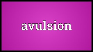 Avulsion Meaning [upl. by Enecnarf]