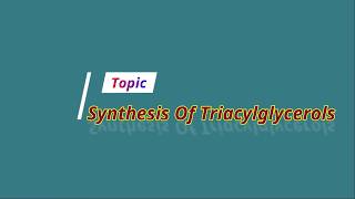 Synthesis Of Triglycerides In Liver And Adipose Tissue  Short Explanation  Medico Star [upl. by Rahab]