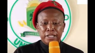 PLO Lumumba Joins Julius Malema To SLAM African Presidents For FLOCKING To The West For Instructions [upl. by Simdars]