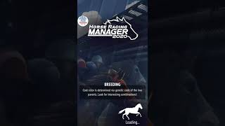 Horse Racing Manager 2020  Breeding To Level A Horse [upl. by Yelyr]