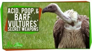 Acid Poop and Barf Vultures Secret Weapons [upl. by Spindell]