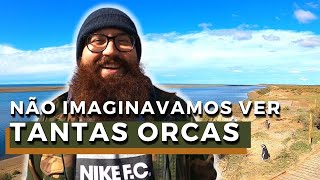 As informações que você PRECISA sobre a Península Valdés  Onde ver ORCAS na ARGENTINA  Ruta 3 [upl. by Resa]