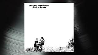 Norman Greenbaum  Spirit in the Sky Official Visualizer [upl. by Dorman]