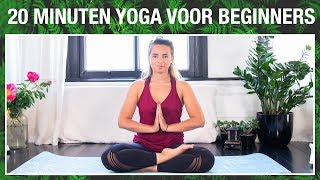 20 min Yoga voor Beginners  YOGA MET MILOU [upl. by Ylloj746]