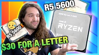 AMD Ryzen 5 5600 vs i512400 amp 5600X CPU Review amp Benchmarks [upl. by Enixam876]