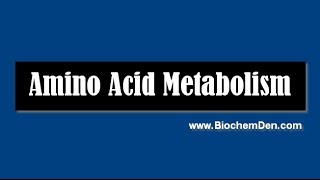 Transamination Biochemistry Amino Acid Metabolism Video Concepts  How to remember easily [upl. by Latoniah]