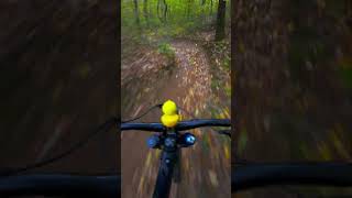 ÉGERVÖLGY ELRONTOTTAM xd mtb djicamera actioncamera bikelife downhill hungary mountainbike [upl. by Jumbala]