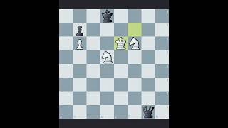 01 Zugzwang not possible 2 Ns imprison black King and defy black Queen chess zugzwang [upl. by Ellora133]