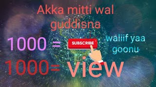 akkamitti wal guddisna subscriber waliif [upl. by Junette]