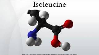 Isoleucine [upl. by Llerahc240]