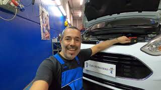 Distribuzione Ford BMax 16 tipo motT3JB [upl. by Piers72]