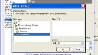 USDownloader the best rapidshare autodownloader tutorial [upl. by Ydeh]