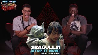 SEAGULLS Stop It Now Reaction [upl. by Innus]