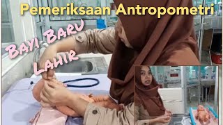 Pemeriksaan Antropometri Bayi Baru Lahir [upl. by Kreager293]