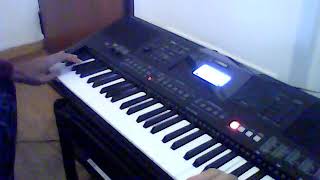 EMMANUEL MENCHETTI quotPipe Organquot in YAMAHA PSR E463 [upl. by Rodrigo]