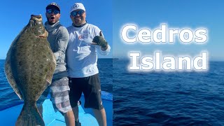 Cedros Island Fishing Experience 2022 [upl. by Canice]