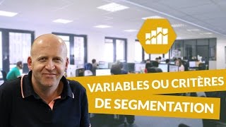 Les variables ou critères de segmentation  Marketing  digiSchool [upl. by Lanita]