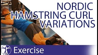 Nordic Hamstring Curl Variations  Hamstring Training [upl. by Ik]