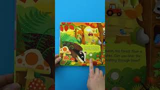 Usborne Sound Books  Seasons Sounds ☀️🌻❄️☂️ [upl. by Ekram]