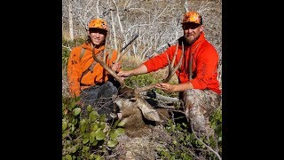 8 day Utah Mule deer hunt fight scene included as well as big deadhead [upl. by Nefen]